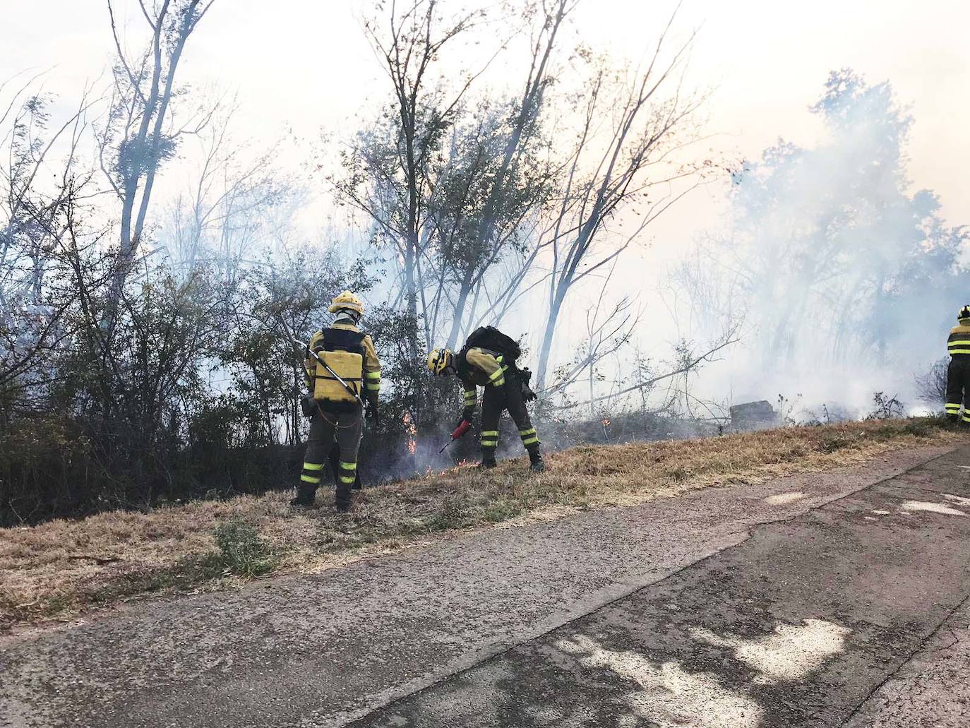 El fuego vuelve a Santa Olaja de la Ribera este viernes.