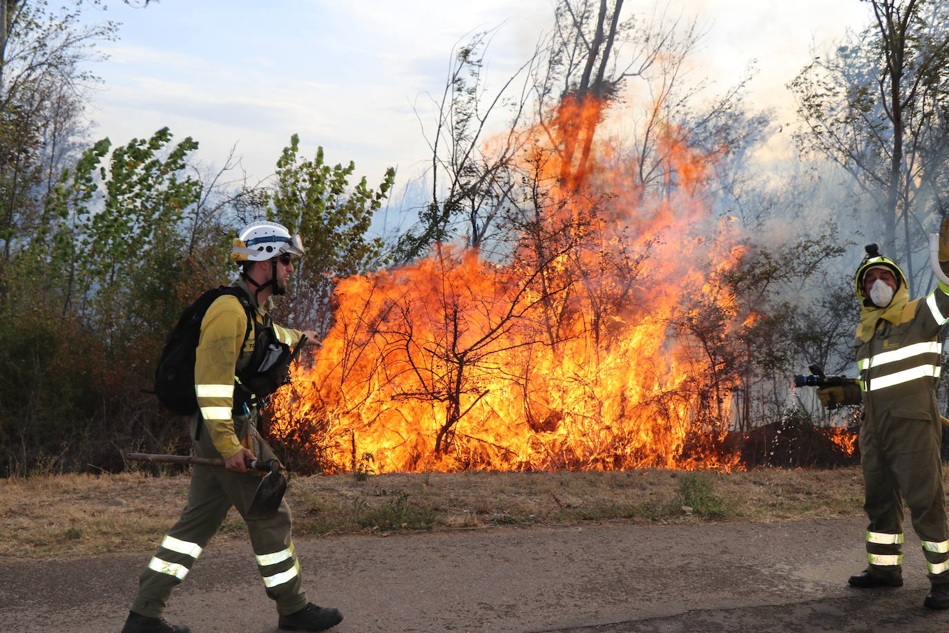 El fuego vuelve a Santa Olaja de la Ribera este viernes.