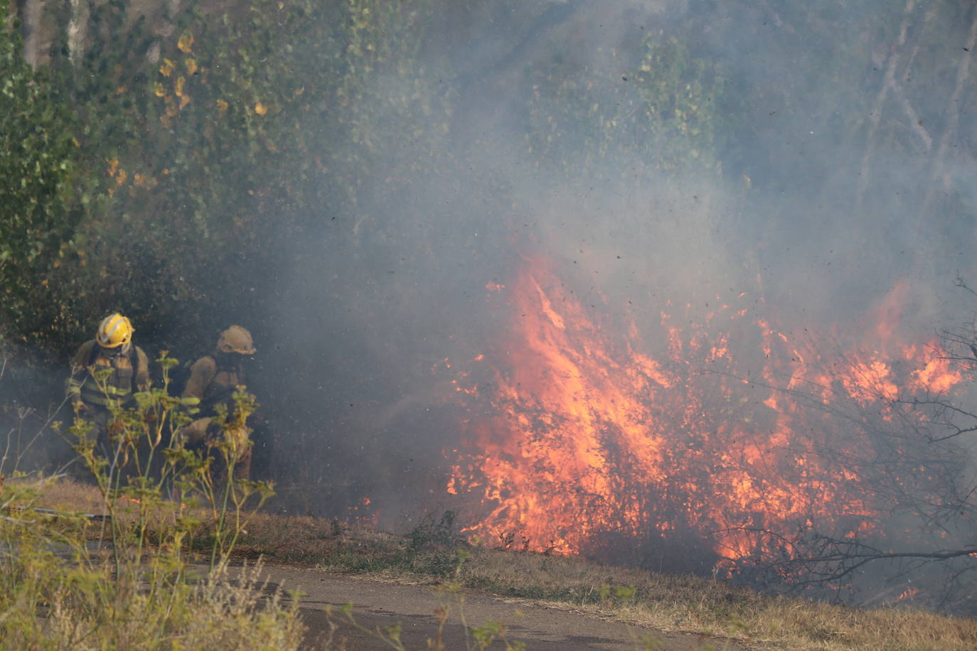 El fuego vuelve a Santa Olaja de la Ribera este viernes.