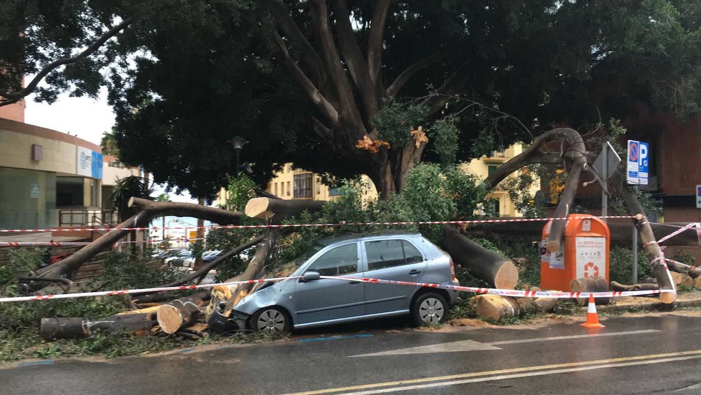 El temporal sigue sin dar tregua, se extiende a más provincias y este sábado se ha cobrado la séxta víctima mortal.