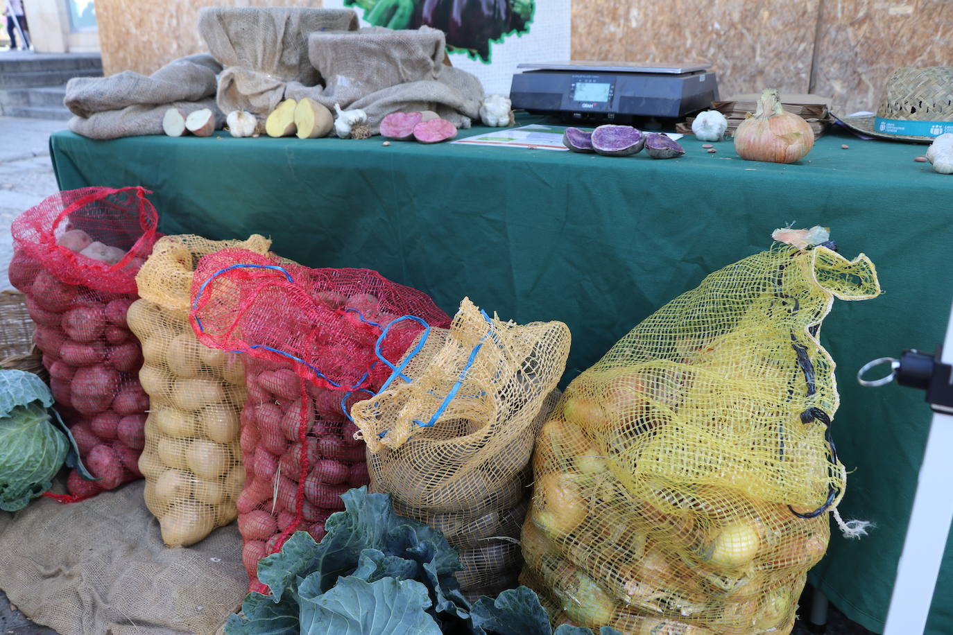 La I Feria Ecomercado 'Ciudad de León' quiere mostrar durante este sábado otra forma de consumir, muy relacionada con el desarrollo del mundo rural y una producción sostenible y artesanal.