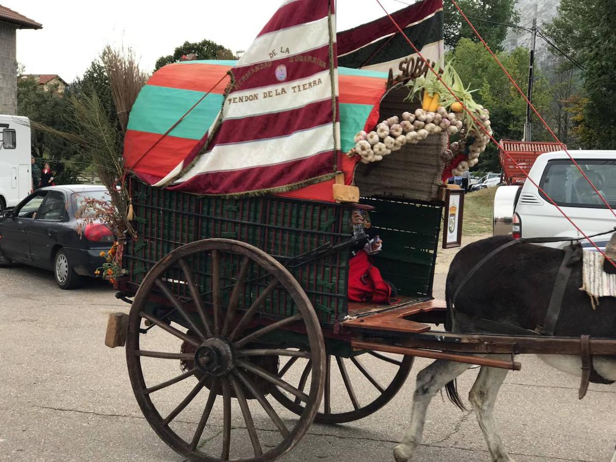 Fotos: XLI Concurso Exposición de Ganado de Montaña en Puebla de Lillo