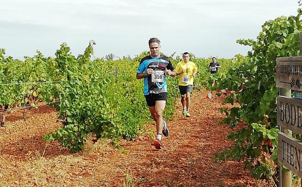 Un instante de la carrera entre viñedos.