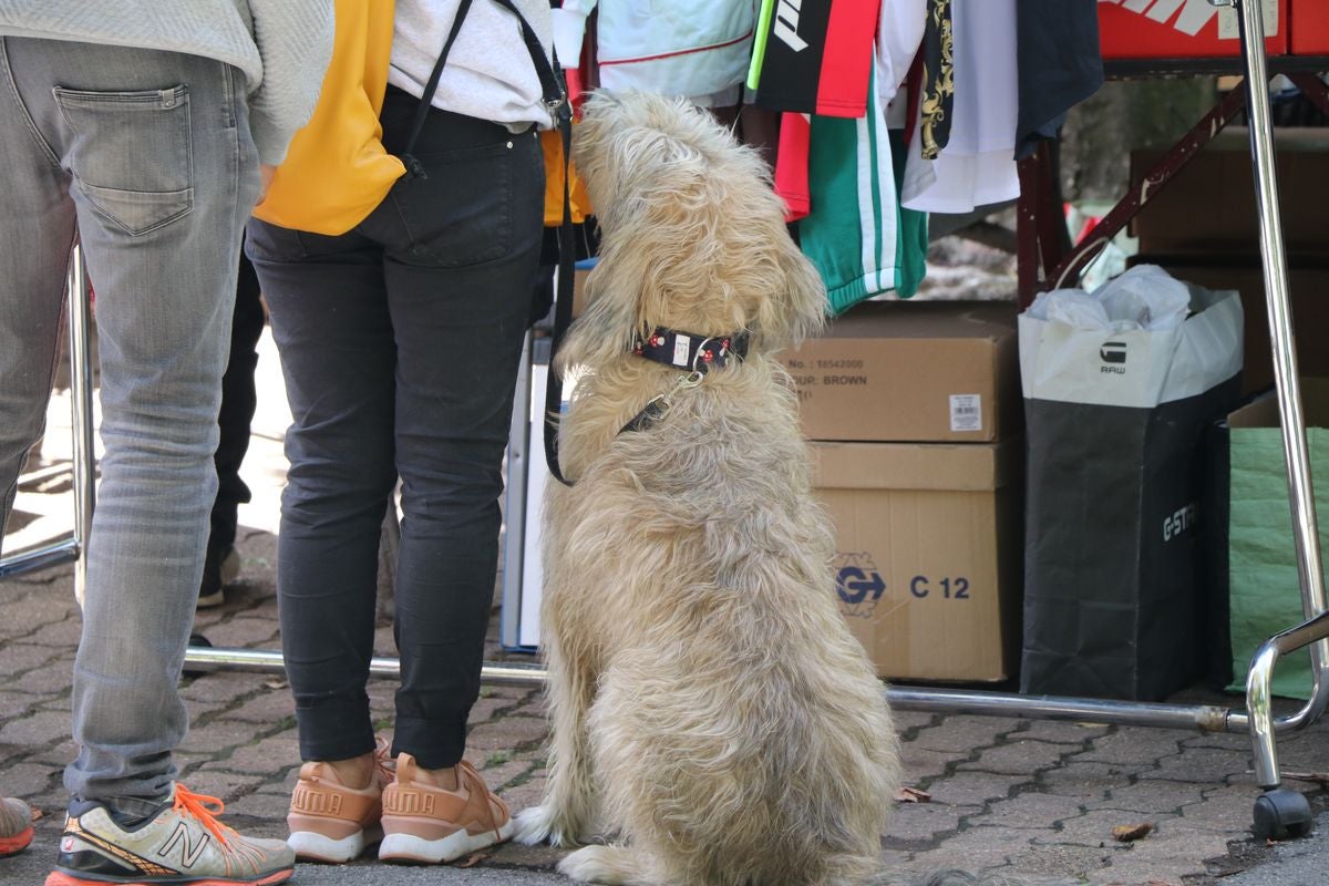 Fotos: La fiesta de los otros vecinos