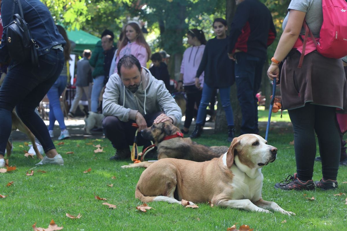 Fotos: La fiesta de los otros vecinos