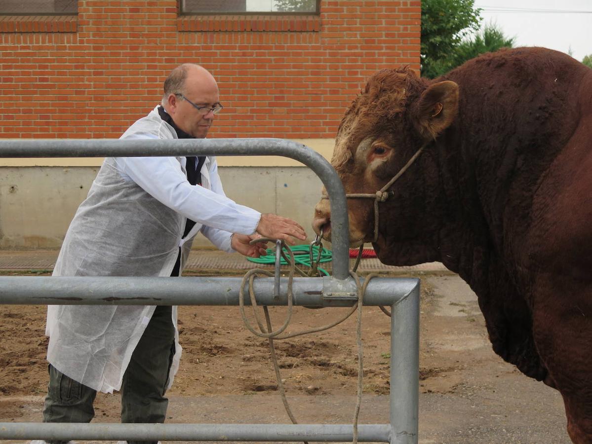 Fotos: El director general de Producción Agropecuaria visita las instalaciones del Censyra