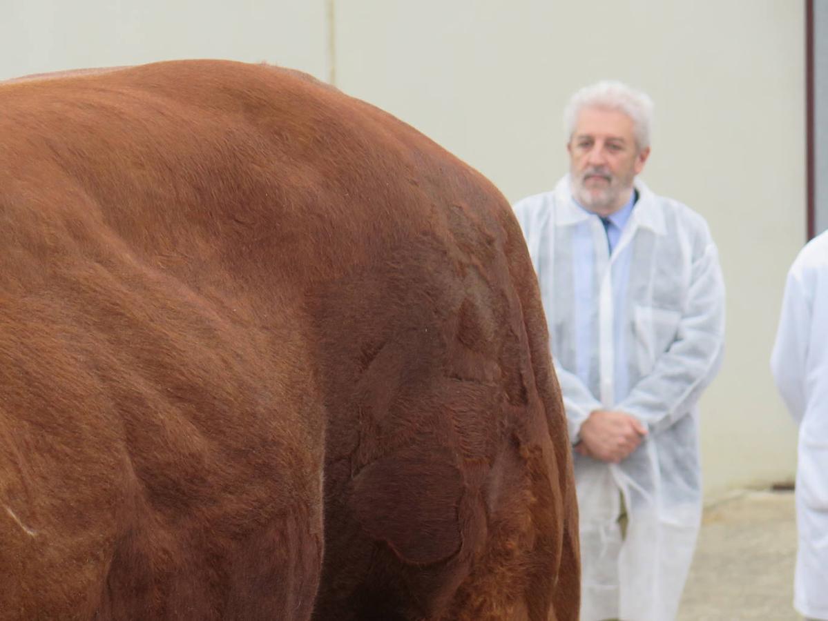 Fotos: El director general de Producción Agropecuaria visita las instalaciones del Censyra