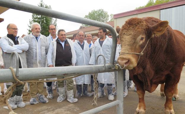 El director general de Producción Agropecuaria posa con un ejemplar en su visita al Censyra. 