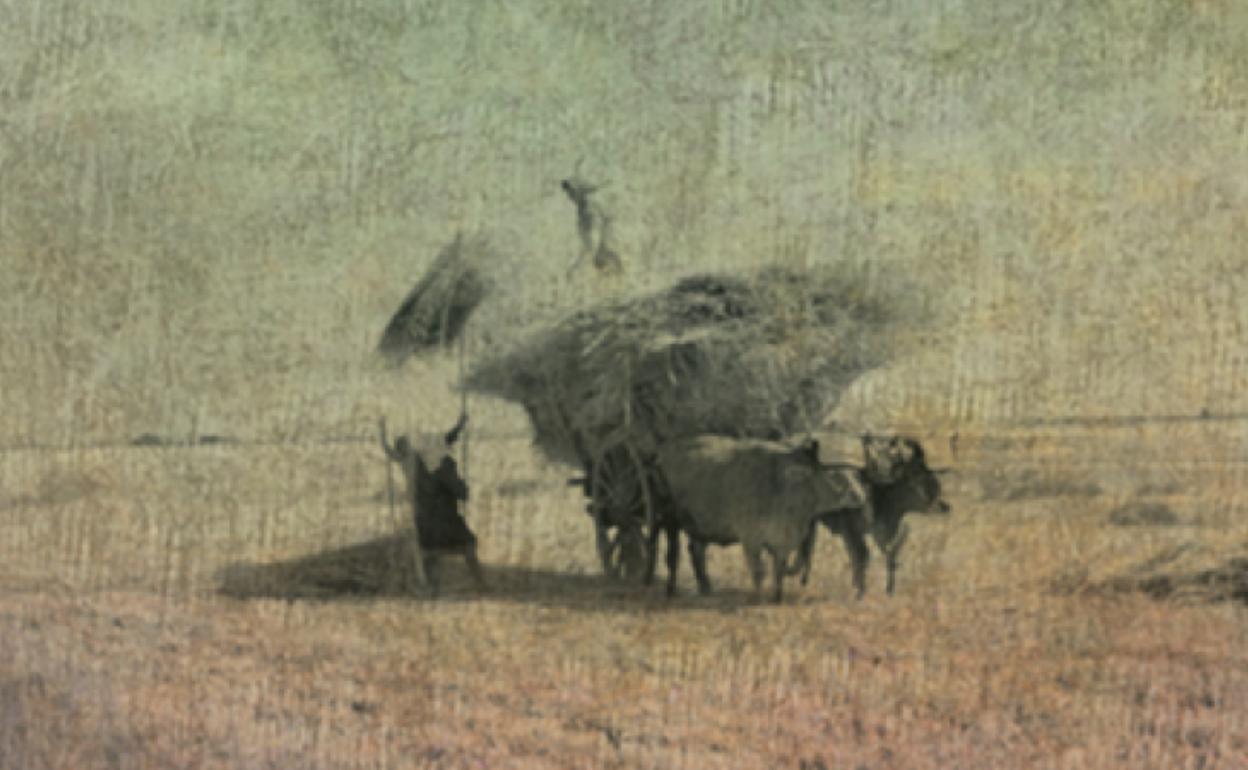 Imagen de la portada del nuevo libro del leonés Alberto Lozano.