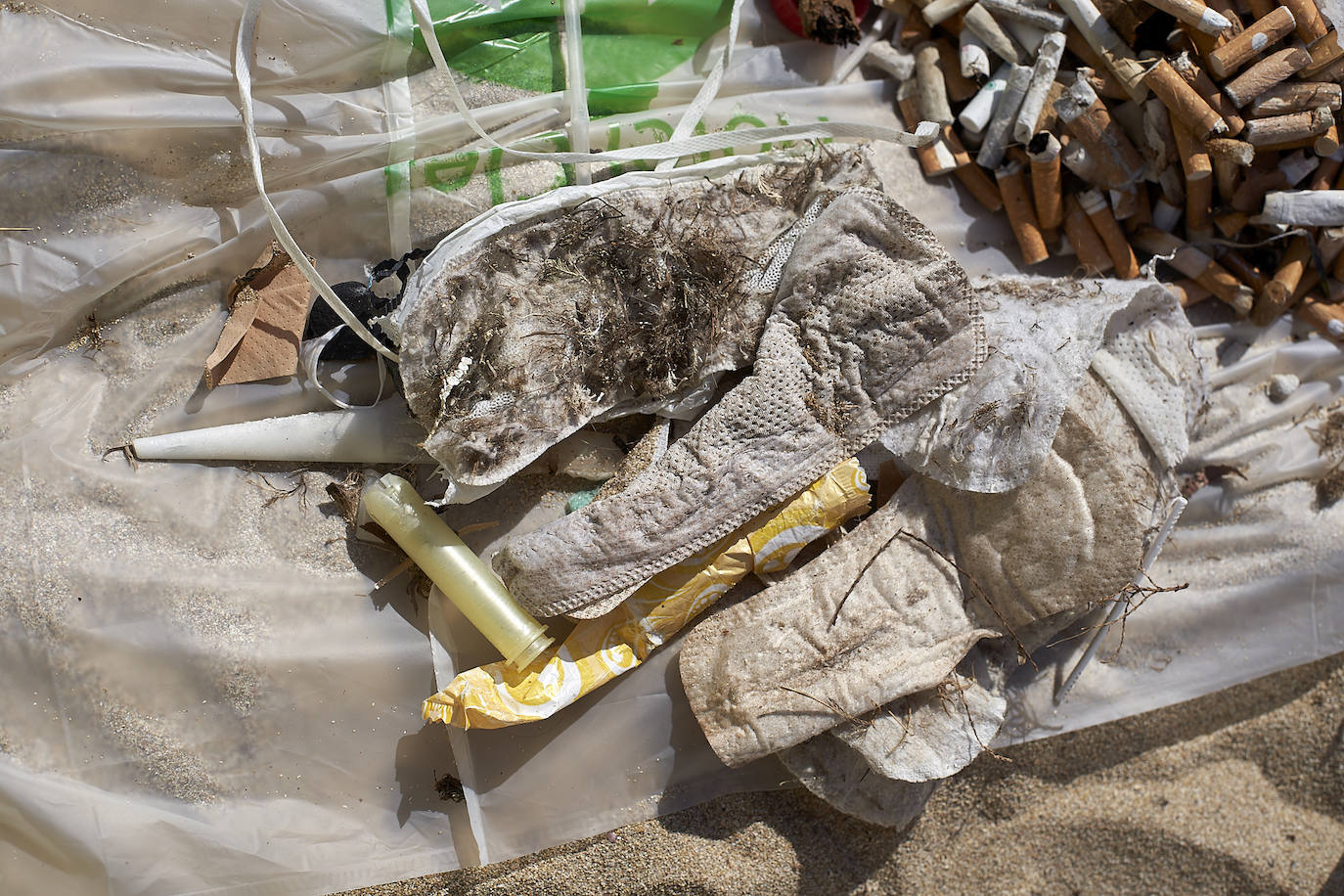 Fotos: 20 buceadores leoneses se suman a la V Gran Limpieza Internacional de Fondos Marinos