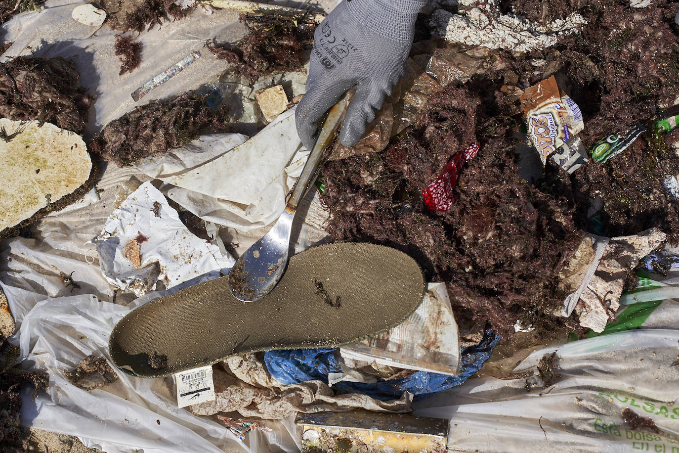 Fotos: 20 buceadores leoneses se suman a la V Gran Limpieza Internacional de Fondos Marinos