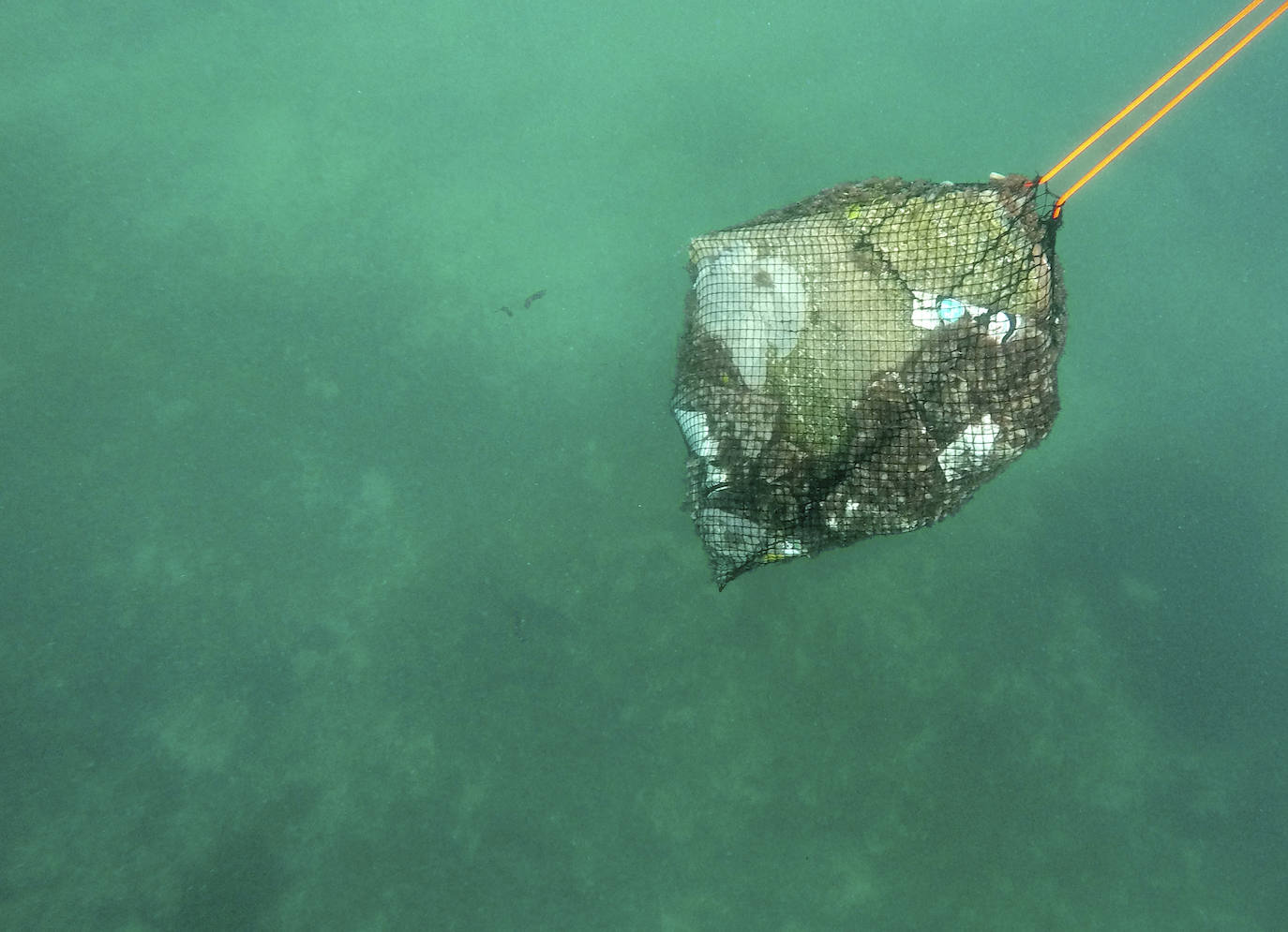 Fotos: 20 buceadores leoneses se suman a la V Gran Limpieza Internacional de Fondos Marinos