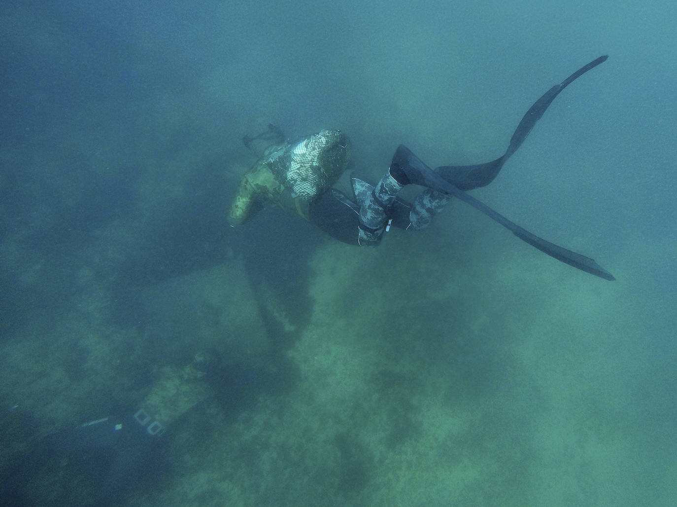 Fotos: 20 buceadores leoneses se suman a la V Gran Limpieza Internacional de Fondos Marinos
