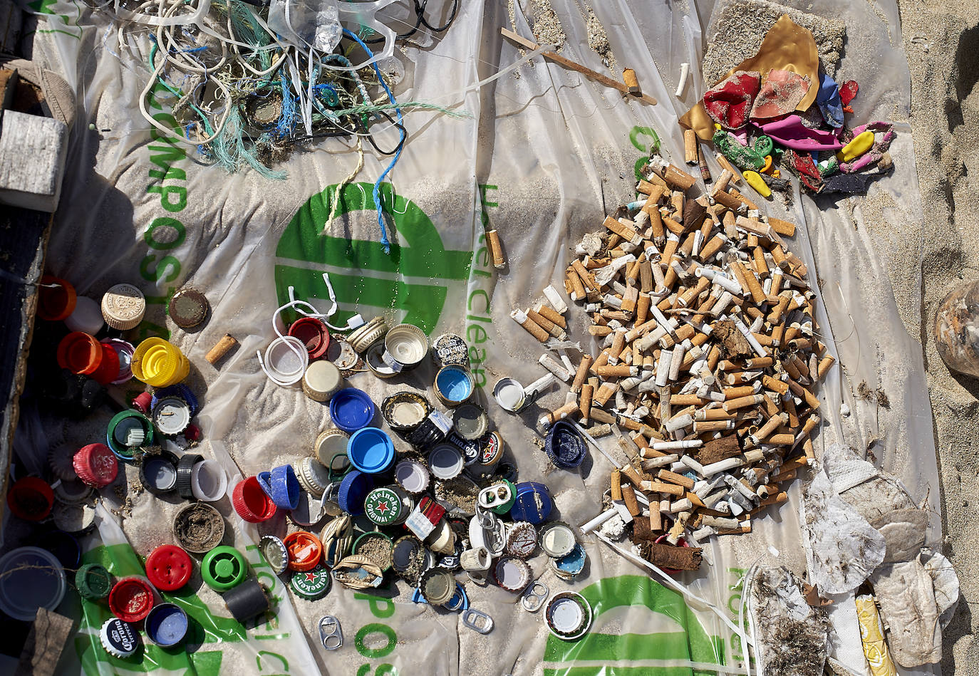 Fotos: 20 buceadores leoneses se suman a la V Gran Limpieza Internacional de Fondos Marinos