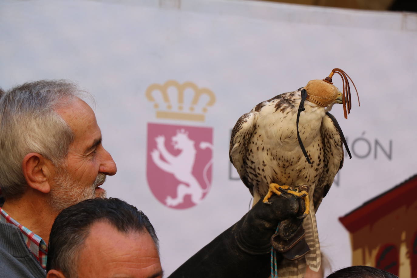 El presidente de la Diputación de León sujeta un ave rapaz.