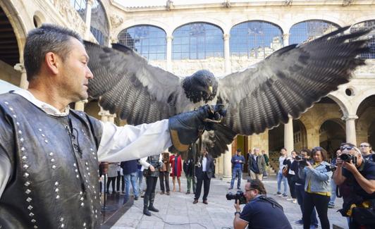 Un ave en pleno vuelo.