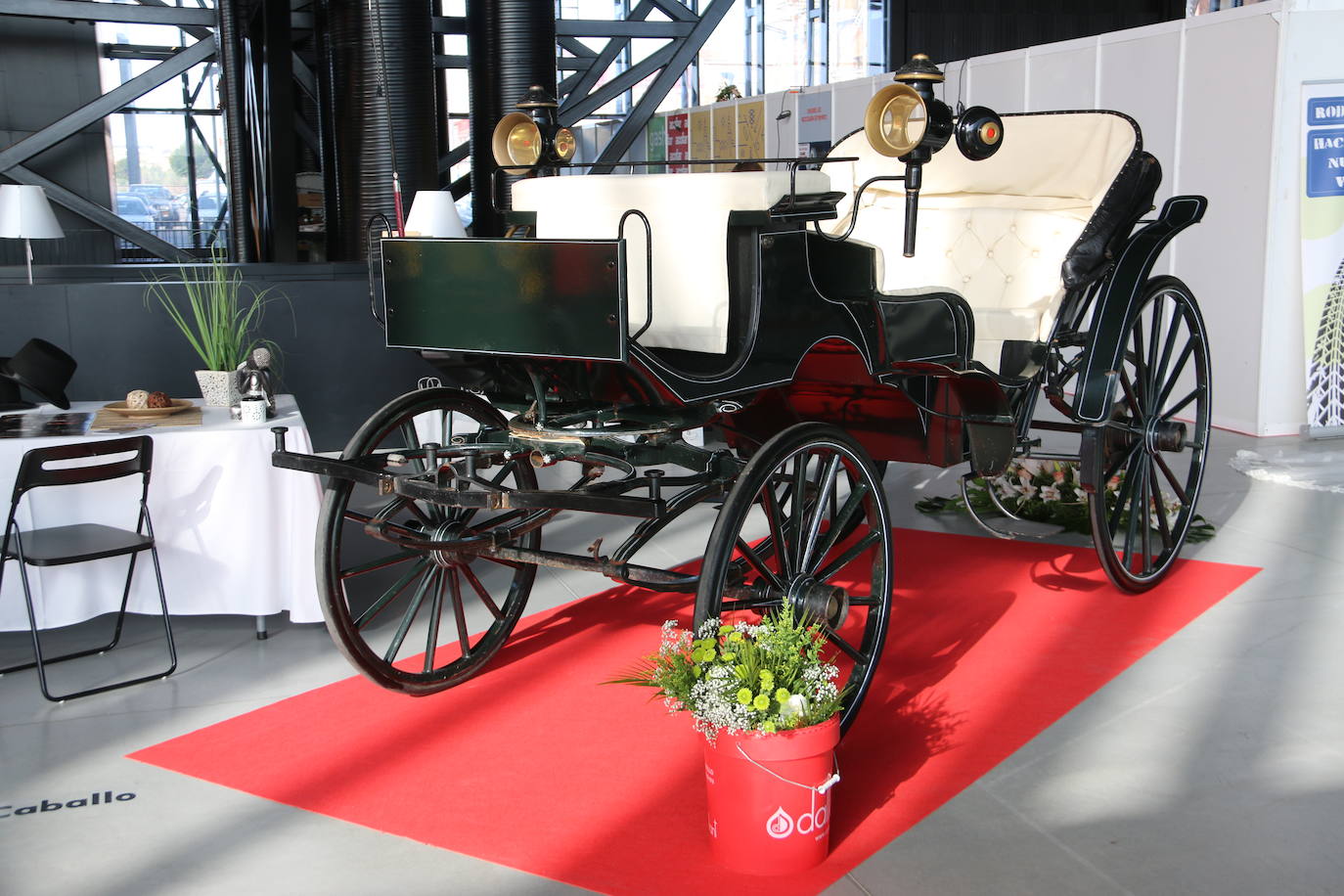Fotos: León se va de boda