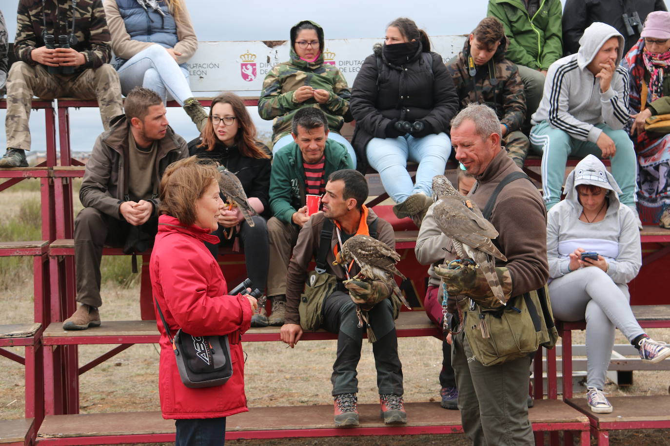 Fotos: Intensas finales en las XXV Jornadas Internacionales de Cetrería