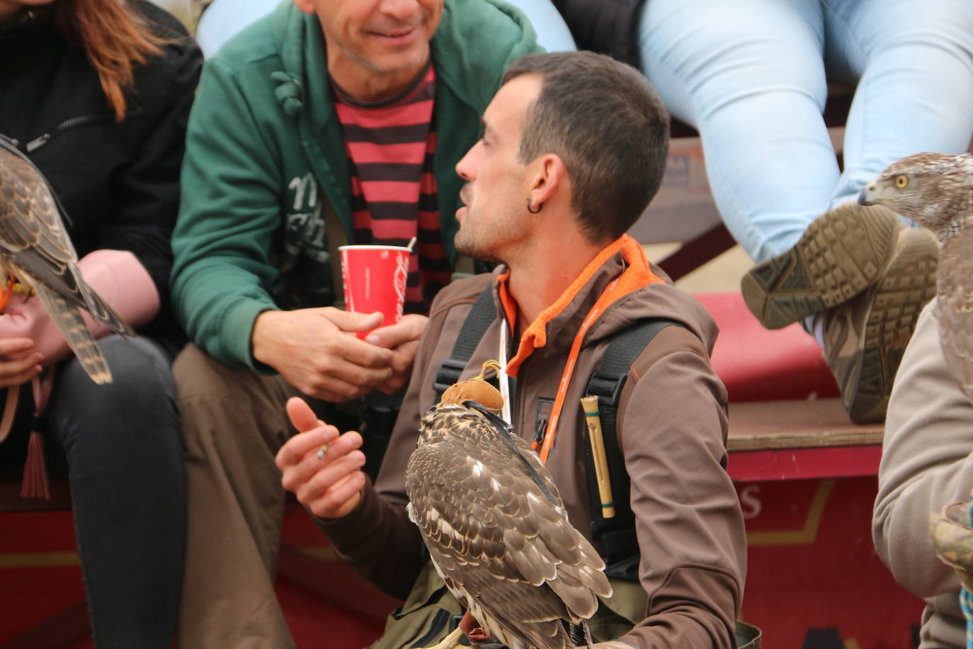 Fotos: Intensas finales en las XXV Jornadas Internacionales de Cetrería