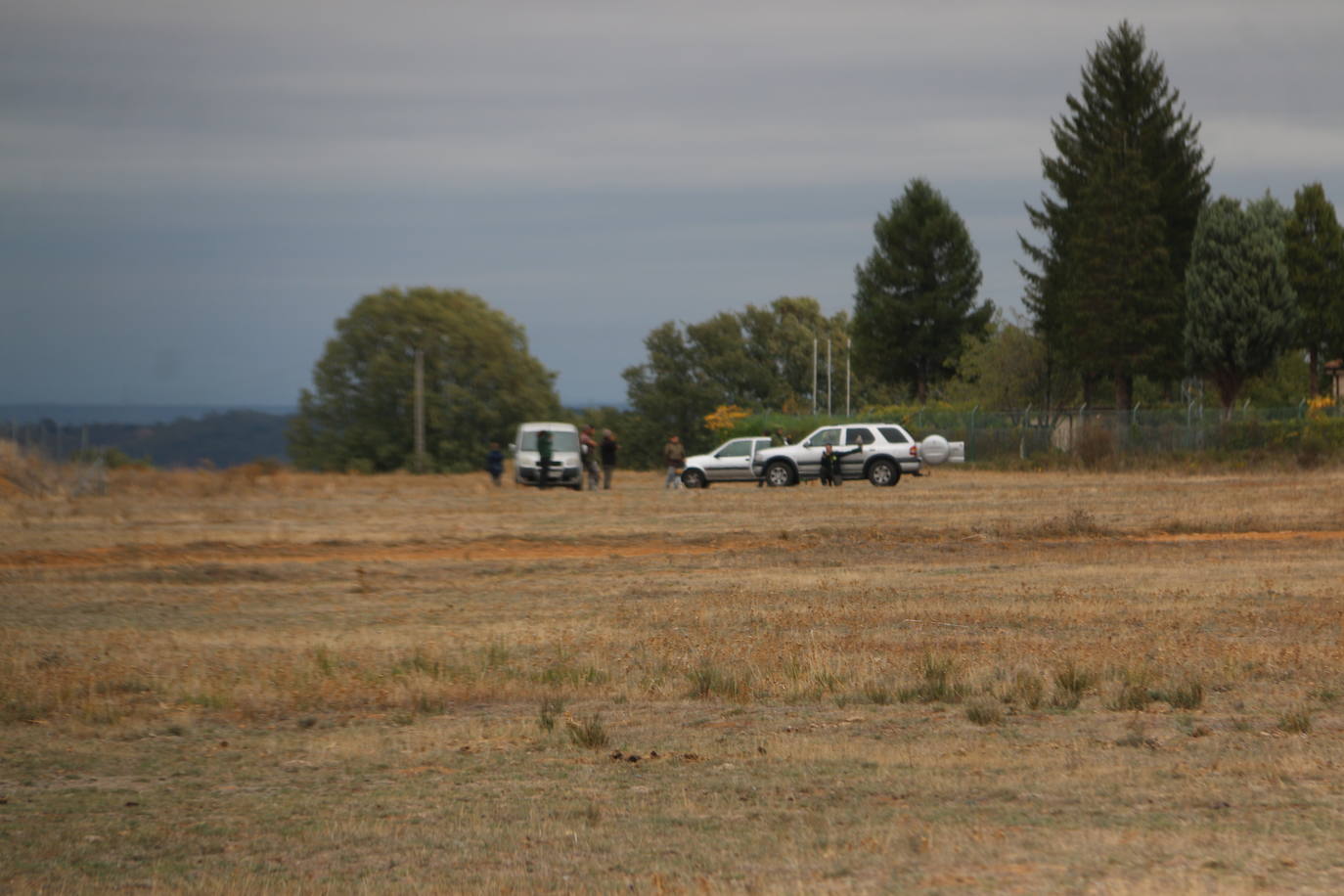 Fotos: Intensas finales en las XXV Jornadas Internacionales de Cetrería