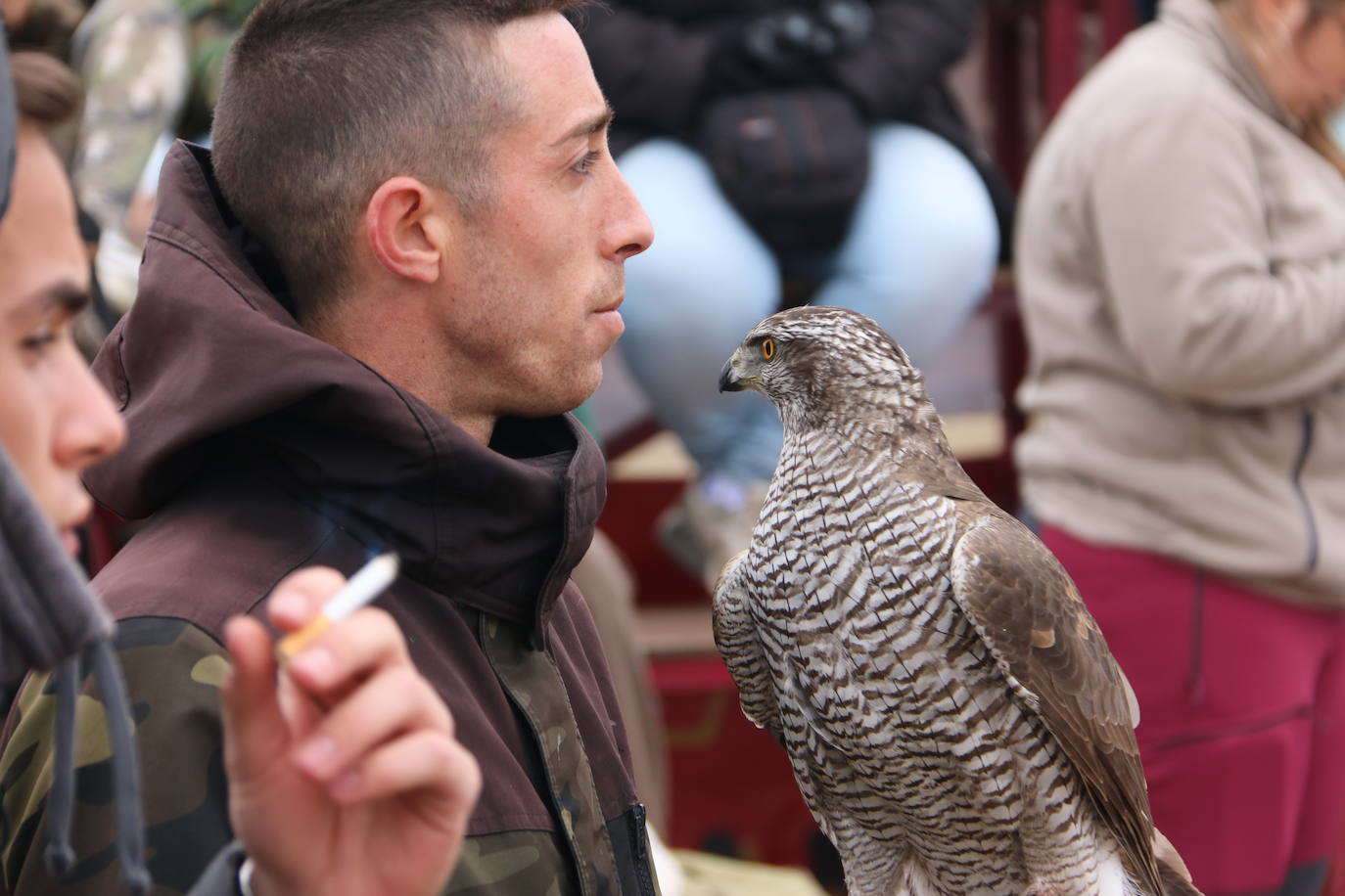 Fotos: Intensas finales en las XXV Jornadas Internacionales de Cetrería