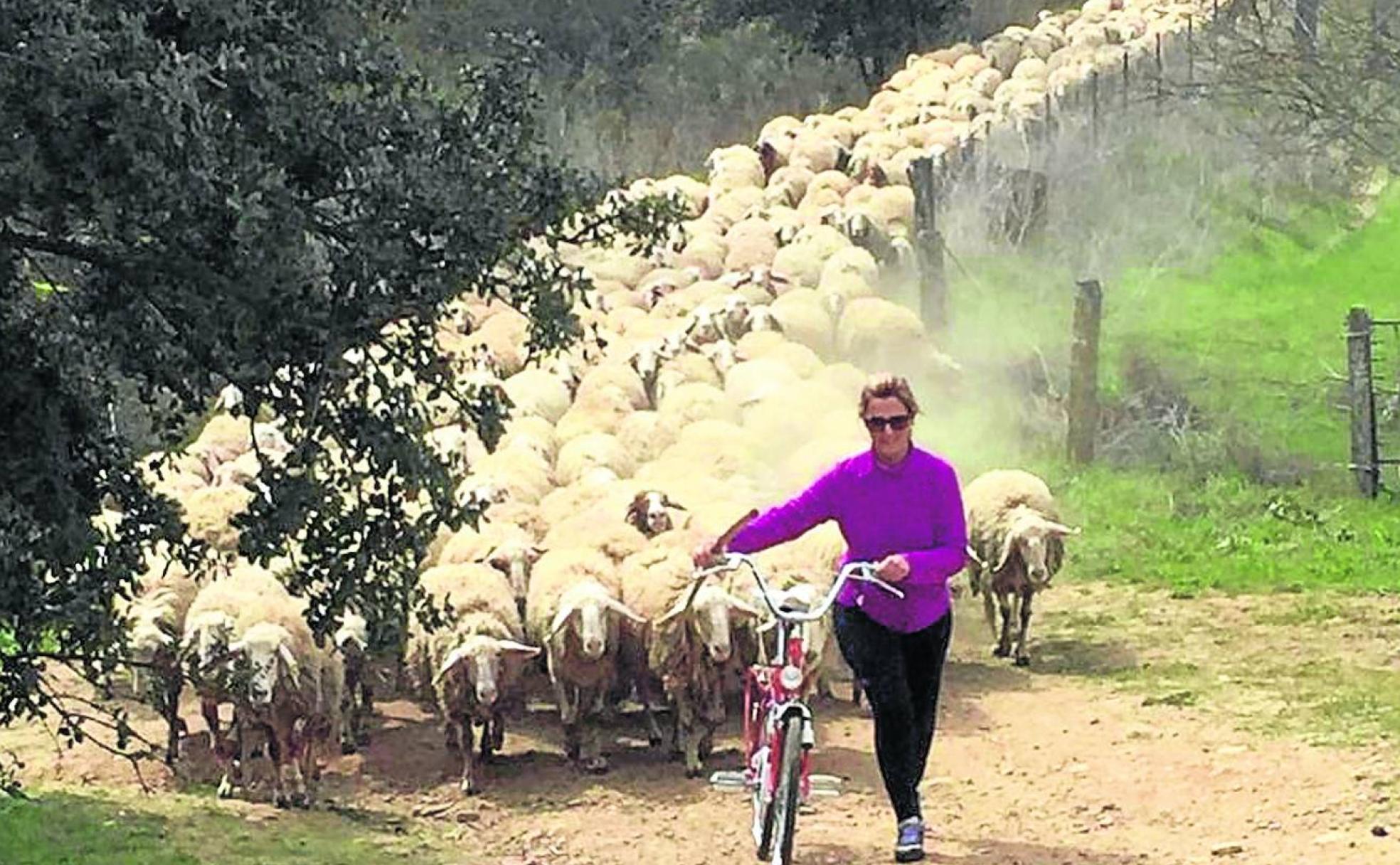 Teresa conduce a su rebaño.