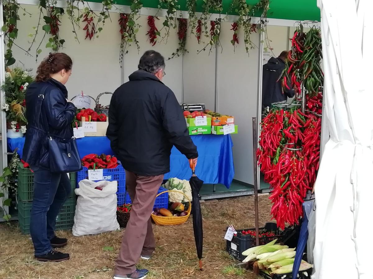 Fotos: Feria de la patata en Chozas de Abajo