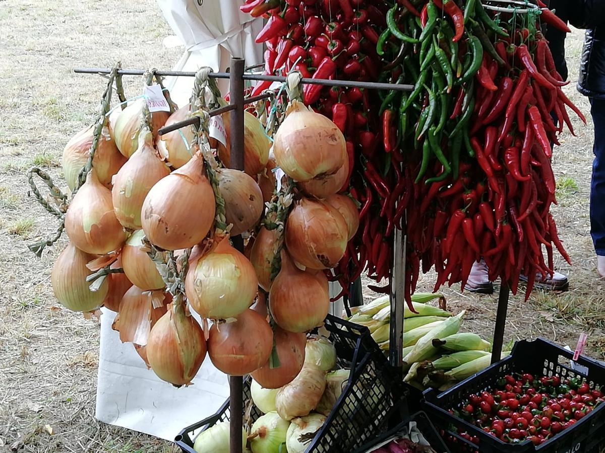 Fotos: Feria de la patata en Chozas de Abajo