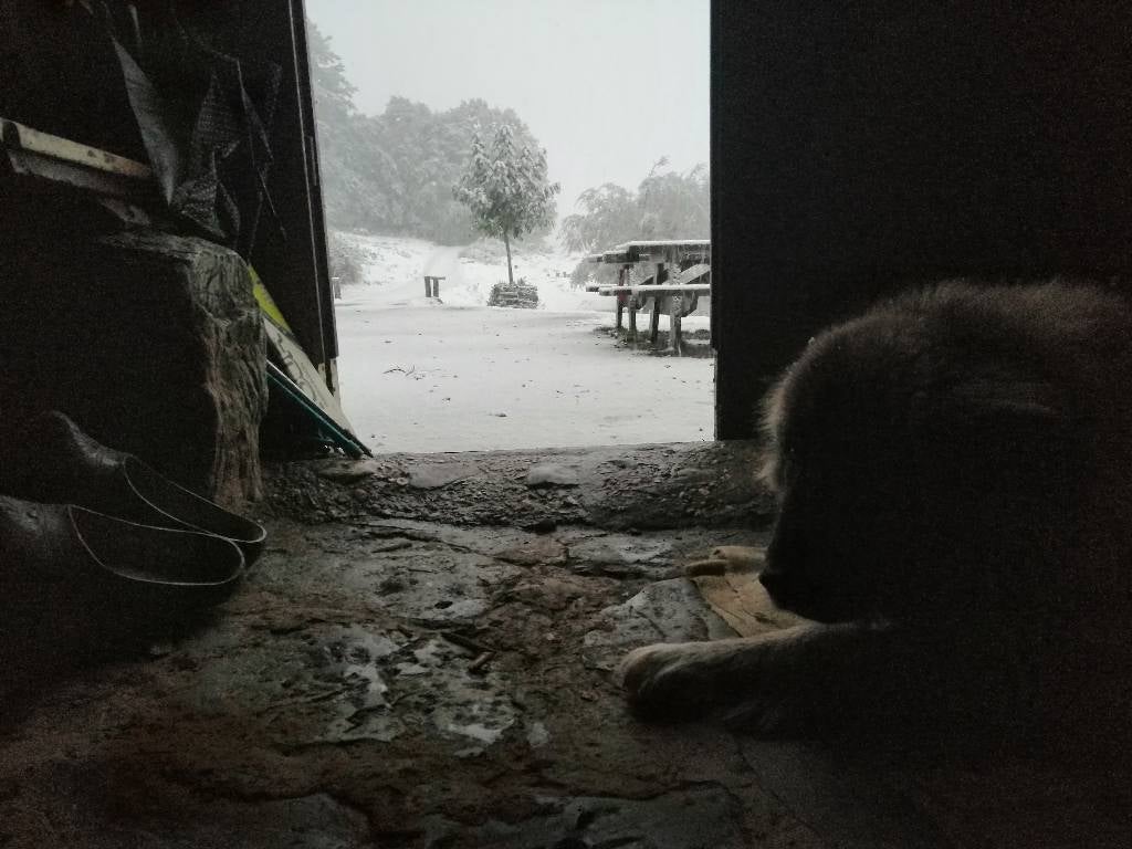 Imagen del refugio de Vegabaño en los Picos de Europa