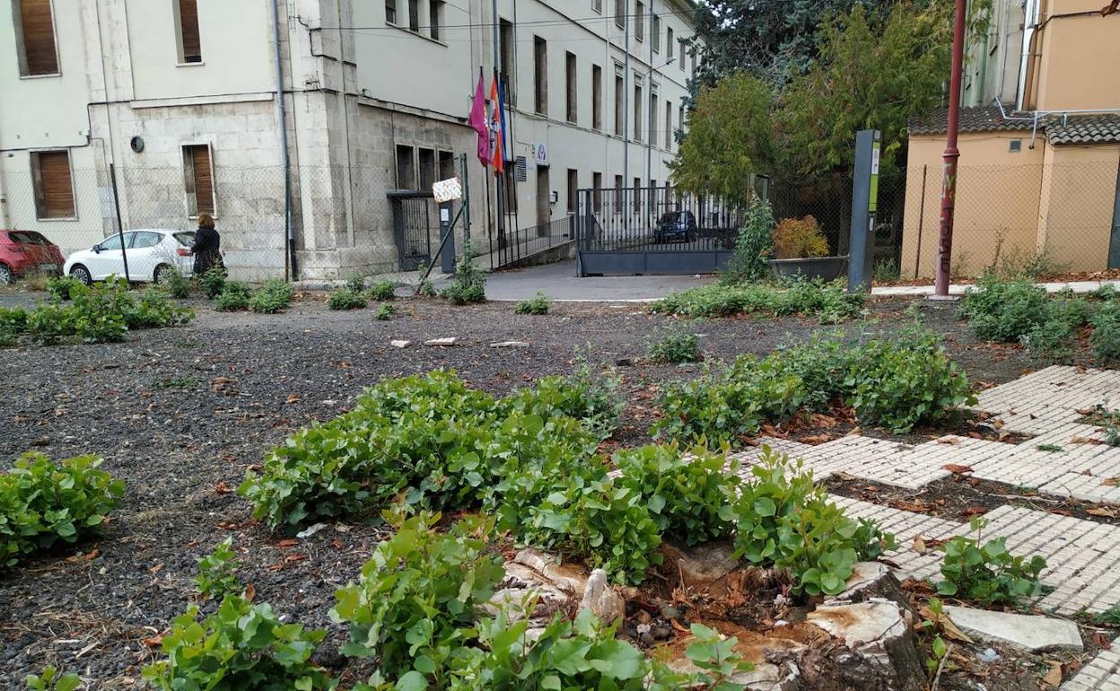 Imagen del ajardinamiento exterior del Albergue de Asociaciones de León.