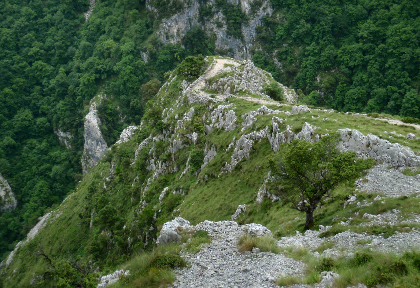 El ascenso a la localidad cántabra ofrece un paiseje espectacular con vistas a los Picos de Europa. Una ruta con una gran pendiente pero perfecta para disfrutar. No te la pierdas