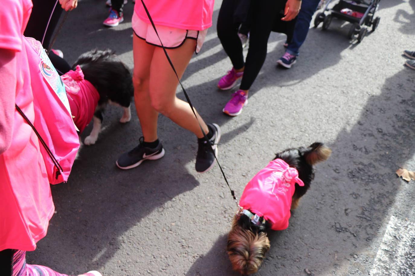 La ciudad de León acoge una nueva carrera de la lucha contra el cáncer de mama.
