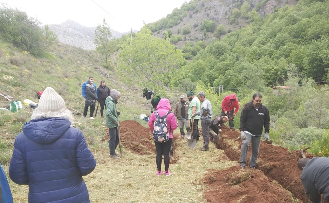 Una de los trabajos realizados por ARMH en la provincia de León.