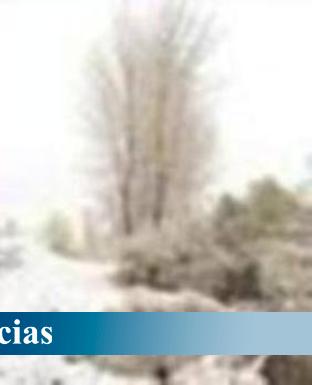 Fotos: La nieve, un manto blanco sobre la provincia leonesa