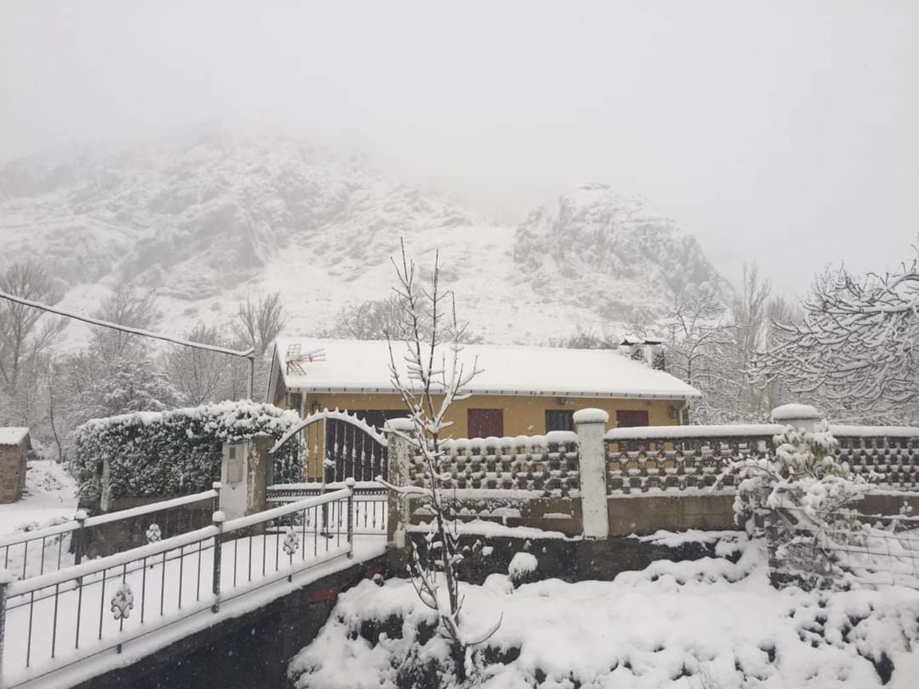 Fotos: La nieve llama a la puerta