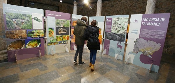 Fotos: EL MUSEO DEL BIERZO INAUGURA LA EXPOSICIÓN SOBRE ARTE RUPESTRE &#039;LIENZOS DE PIEDRA&#039;