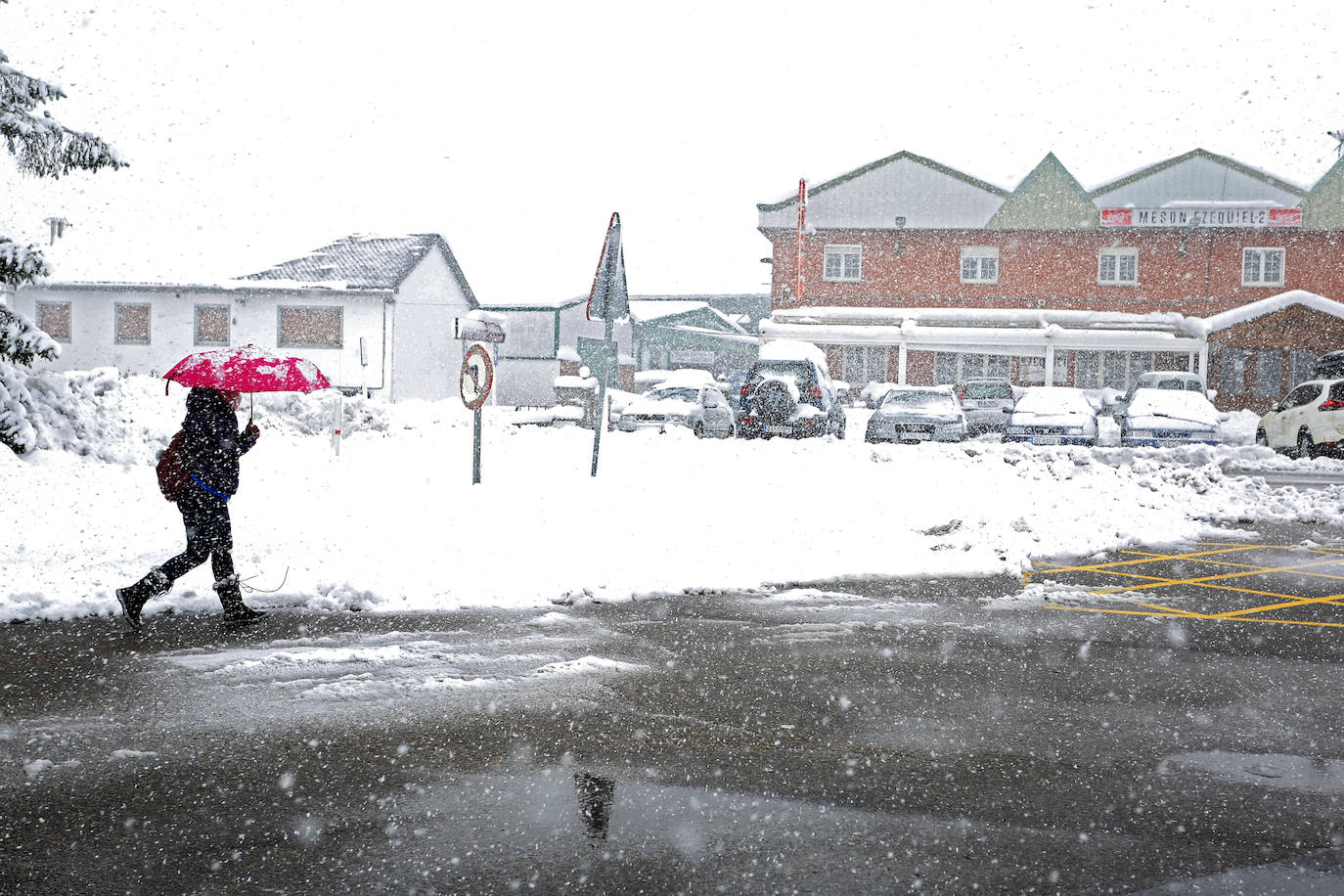 Fotos: La provincia se tiñe de blanco