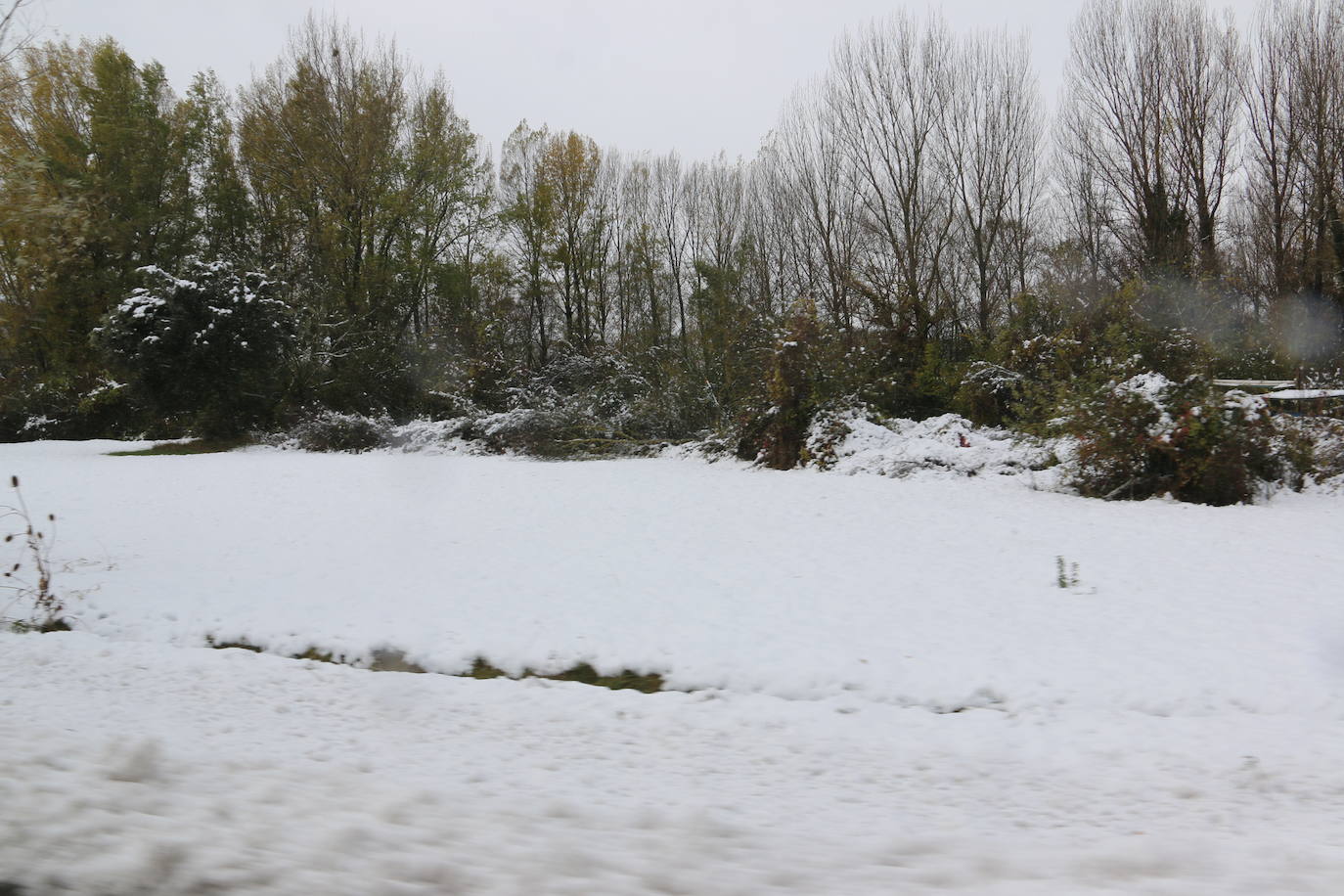 Fotos: León vuelve a convivir con la nieve