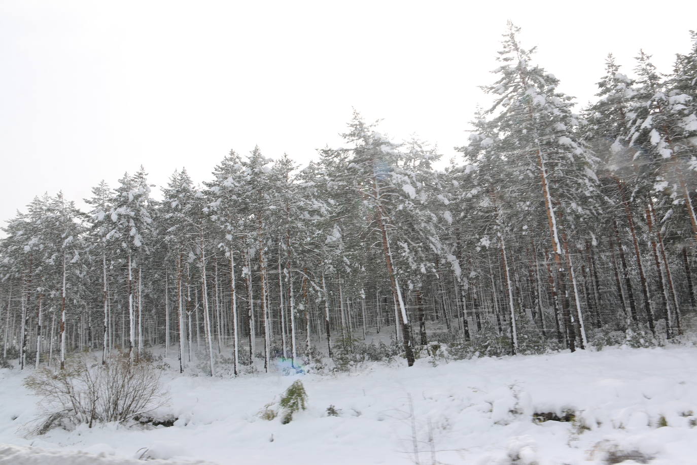 Fotos: León vuelve a convivir con la nieve