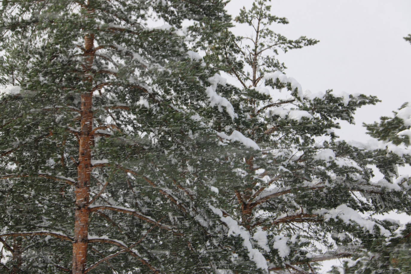 Fotos: León vuelve a convivir con la nieve