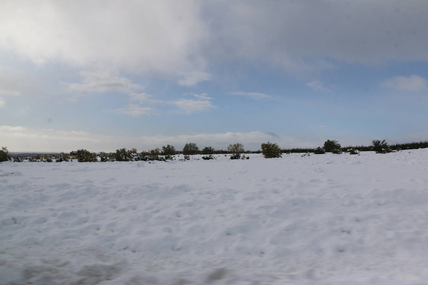 Fotos: León vuelve a convivir con la nieve