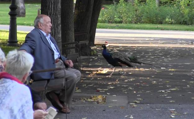 El parque de Quevedo fue reconocido en septiembre con el premio Green Flag.