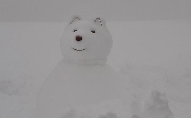 Un perro de nieve en Villamanín. 