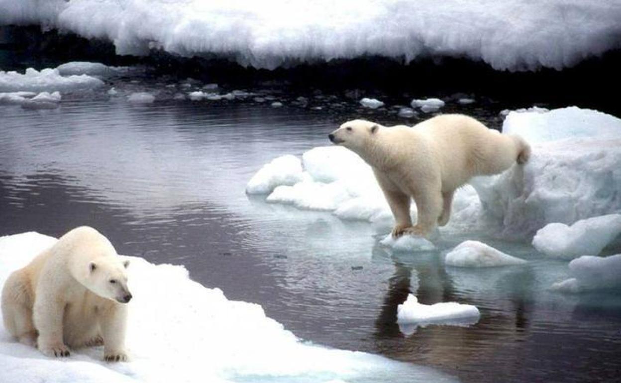 El hielo del Ártico se redujo a niveles sin precedentes el pasado octubre