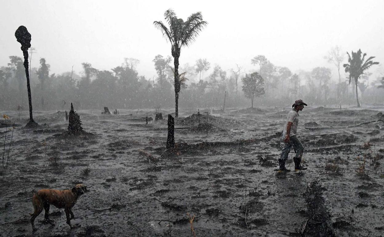 Una imagen de una de las zonas de la Amazonía brasileña arrasada por los incendios forestales.