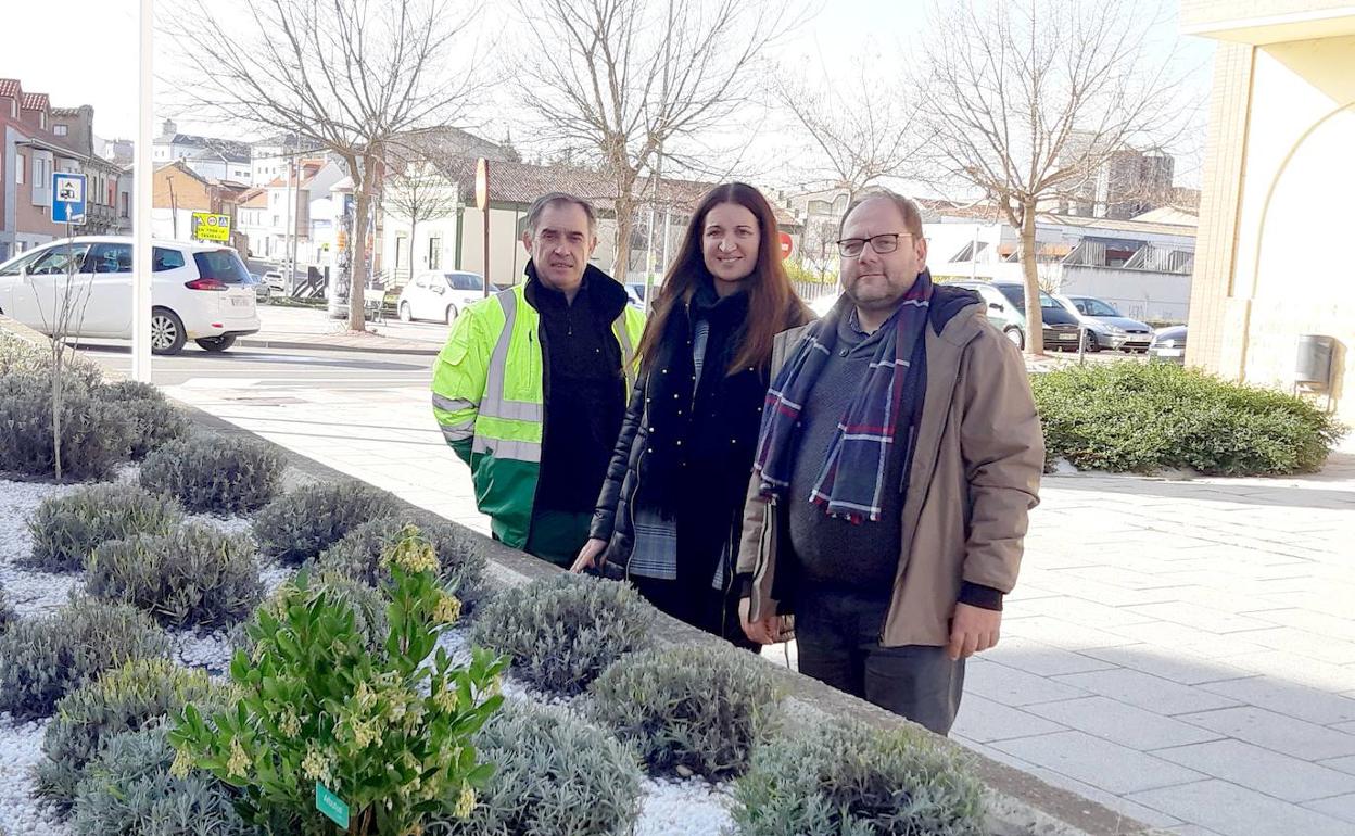 Madrid le hace un guiño a La Bañeza