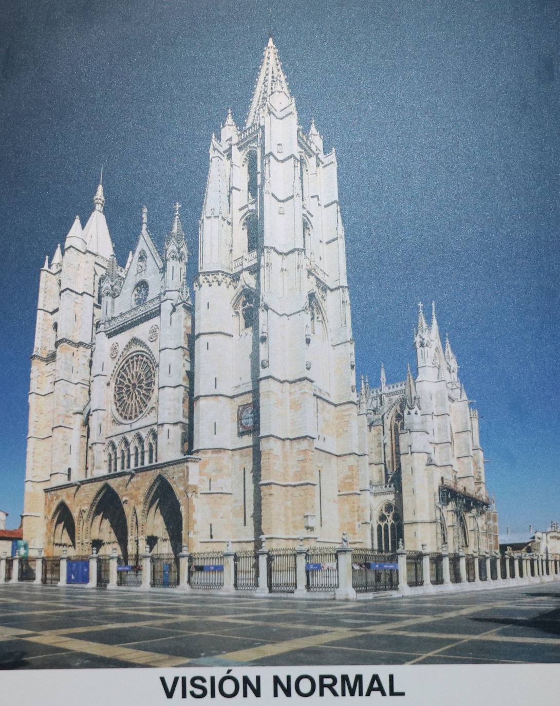 Fotos: ¿Cómo ven la Catedral de León las personas con discapacidad visual?