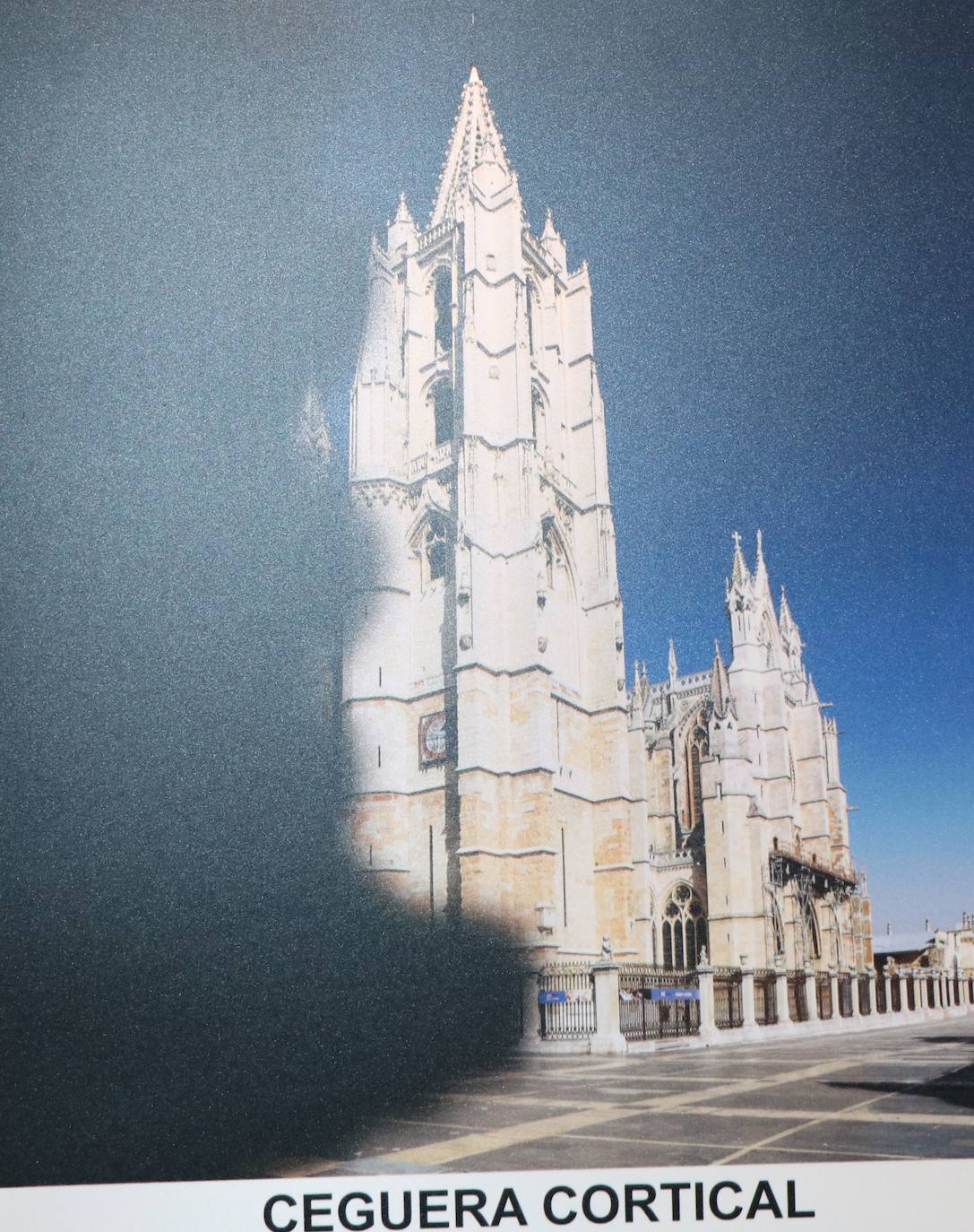 Fotos: ¿Cómo ven la Catedral de León las personas con discapacidad visual?