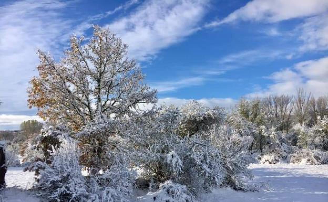 Imagen de archivo de una nevada en Riello.