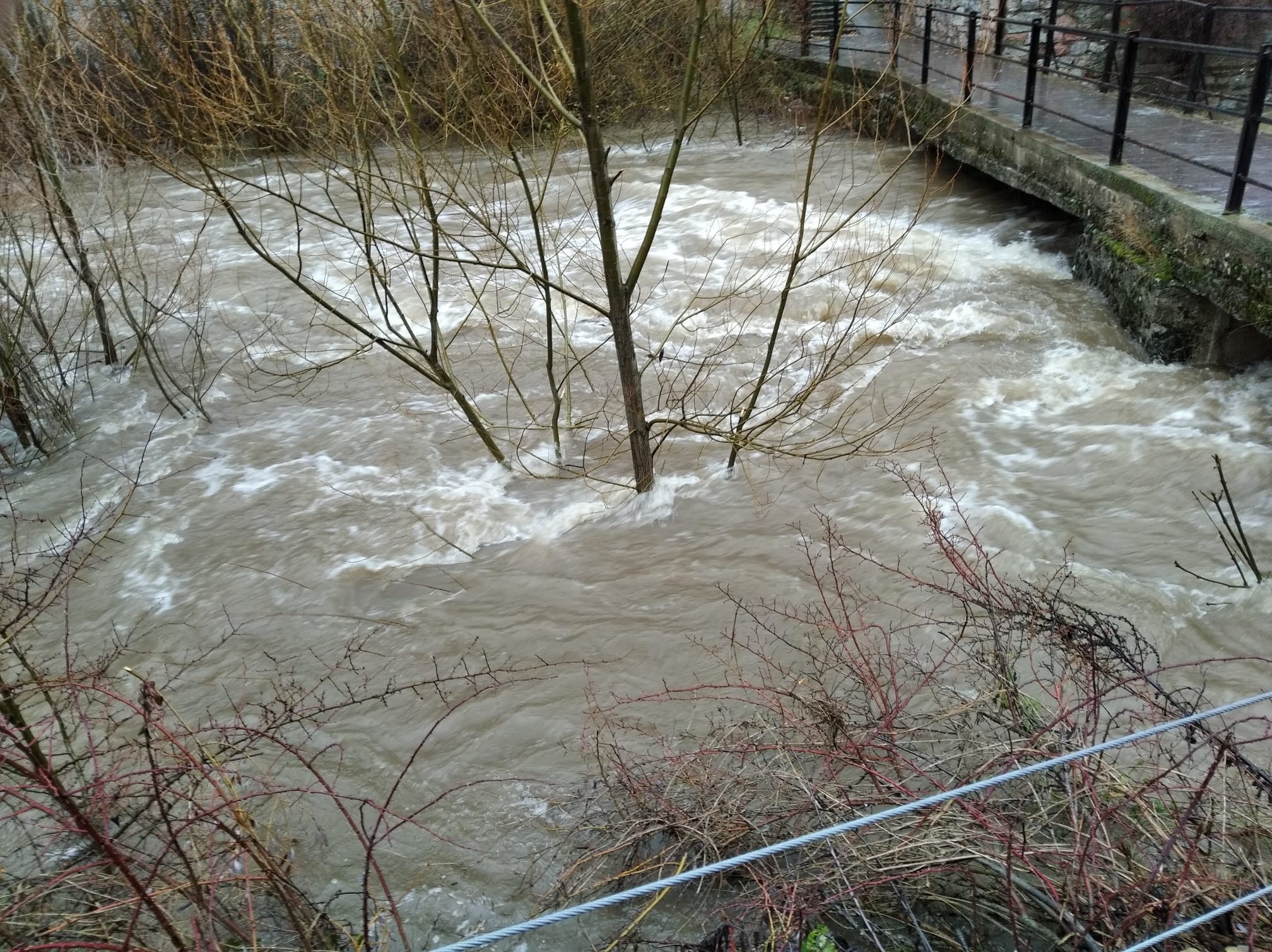 Río Bernesga a su paso por Ciñera